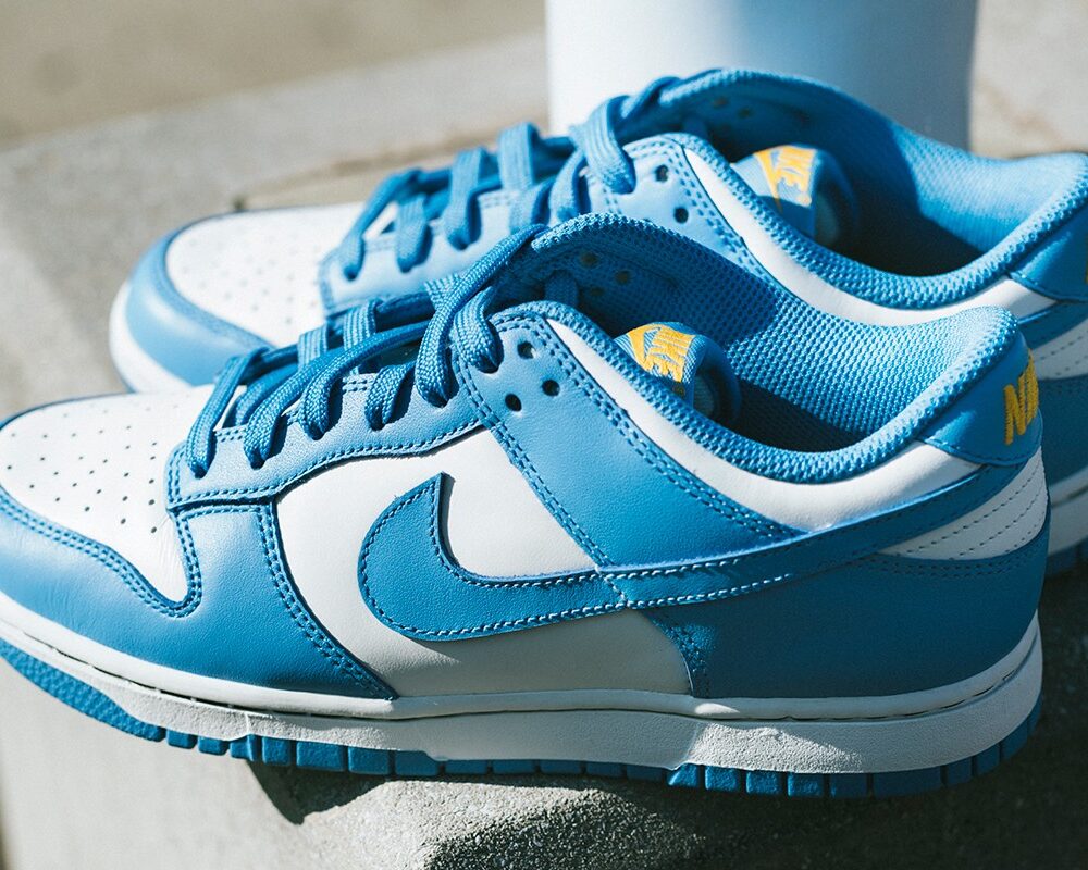 Nike Dunk azzurra